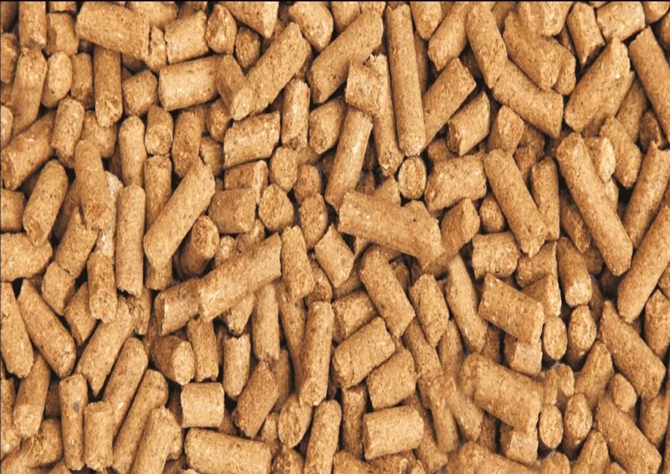Cattle Feed product image